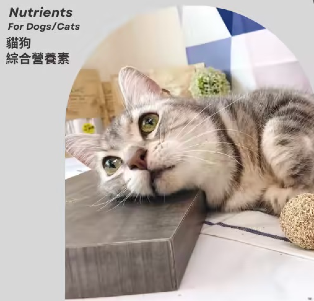 飼主有感推薦六