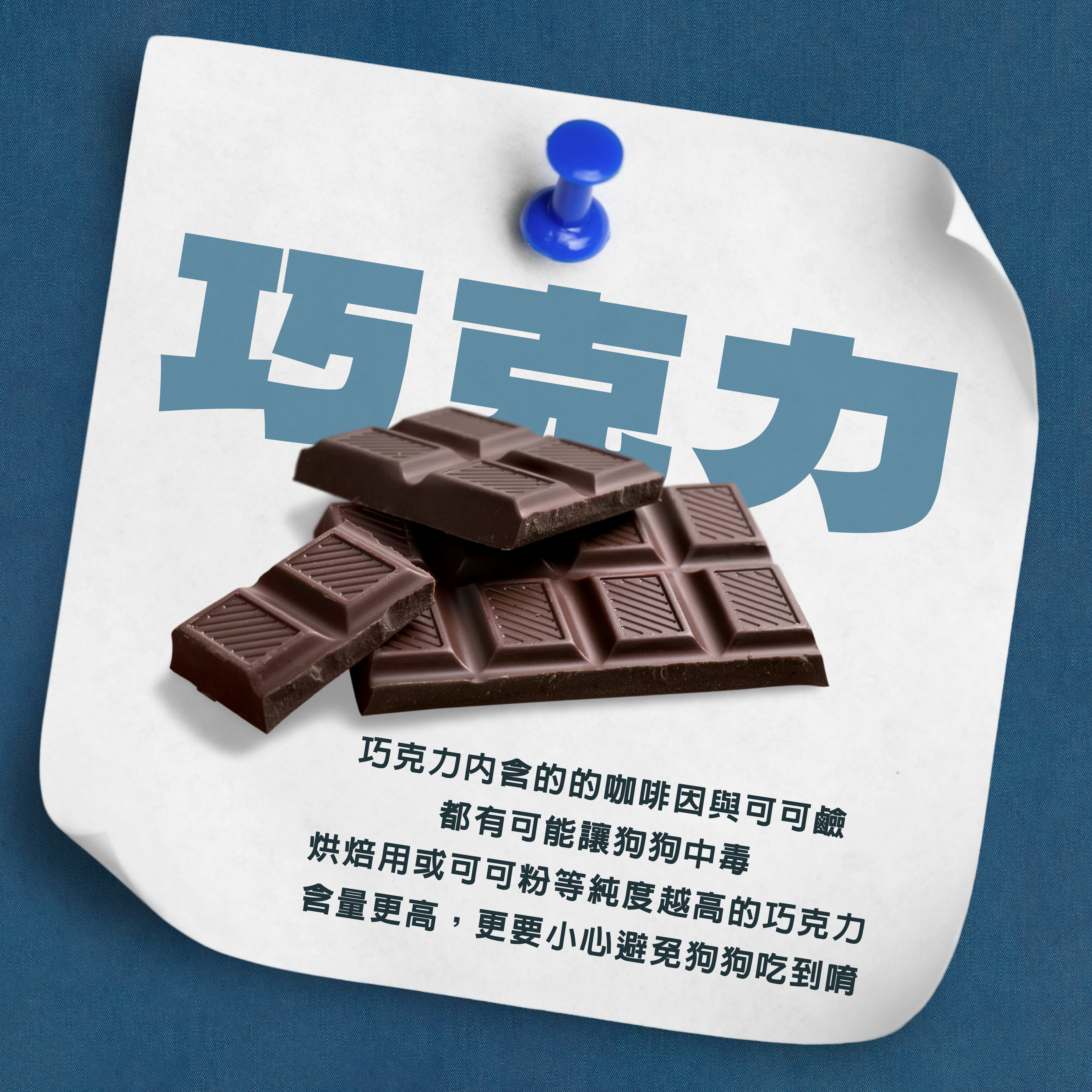 ⚠️ 巧克力是狗狗的致命毒藥！小心誤食危機！ ⚠️