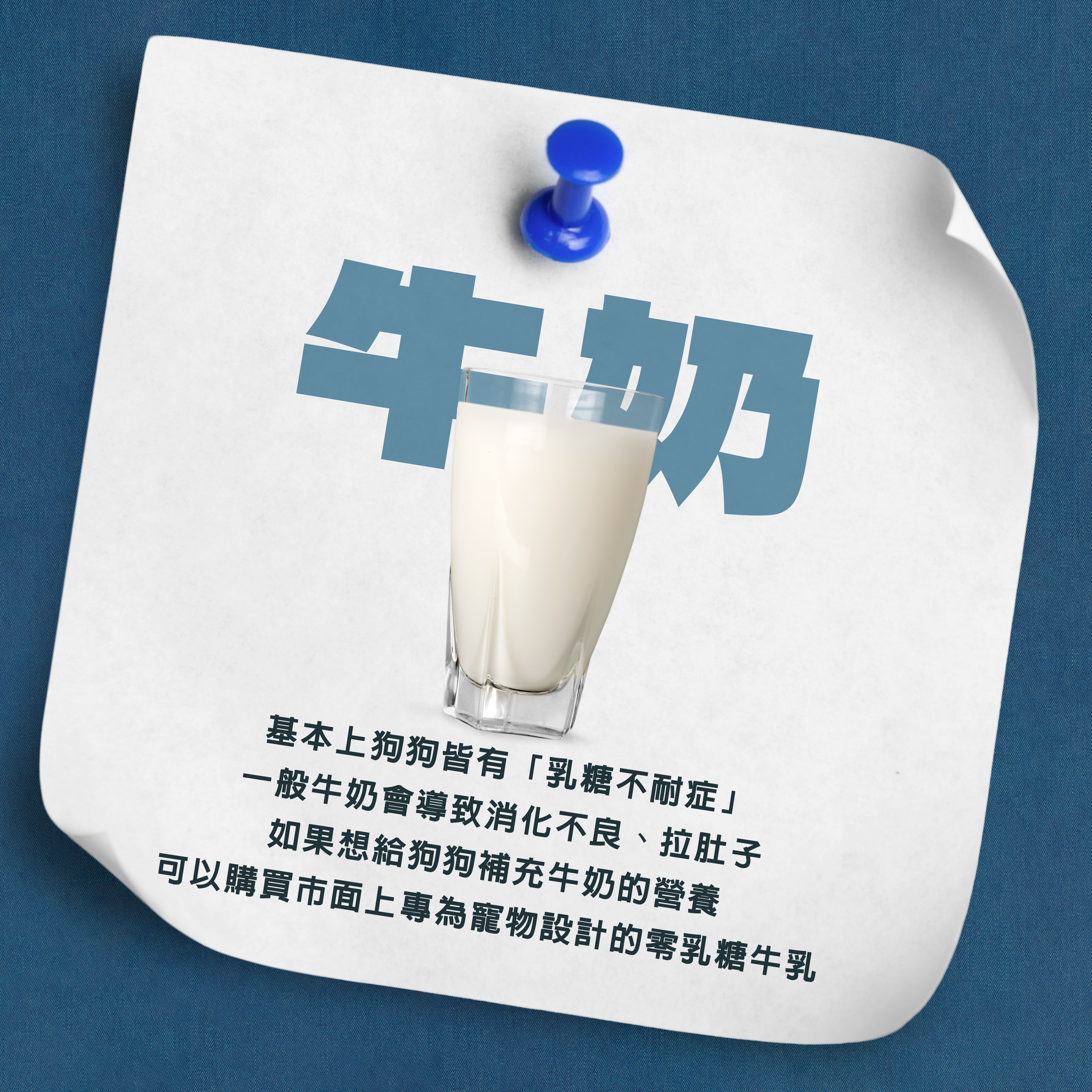 🚨 牛奶也會害毛孩？小心「乳糖不耐症」危機！ 🚨