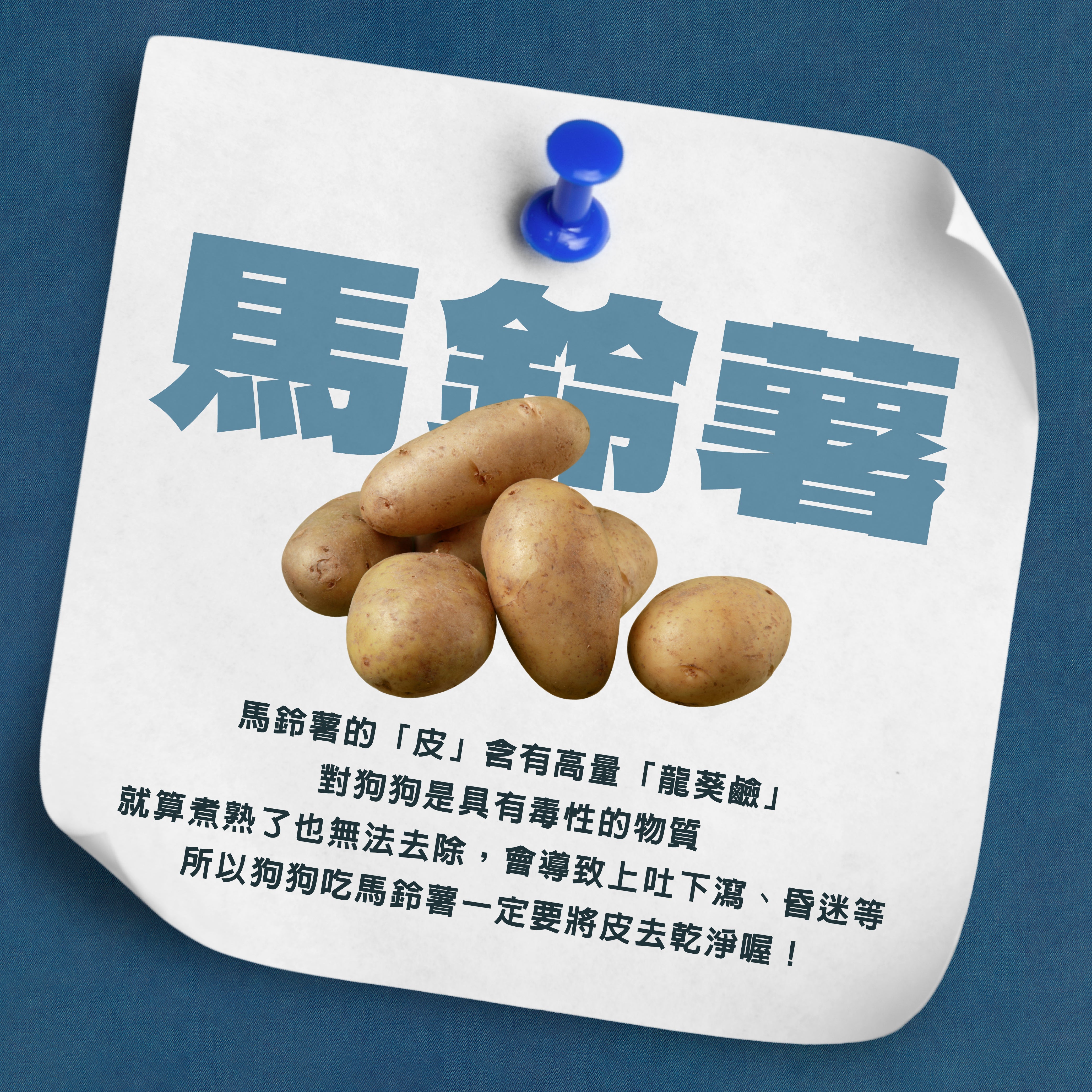 🚨 馬鈴薯皮＝毛孩的毒藥？你知道嗎？ 🚨