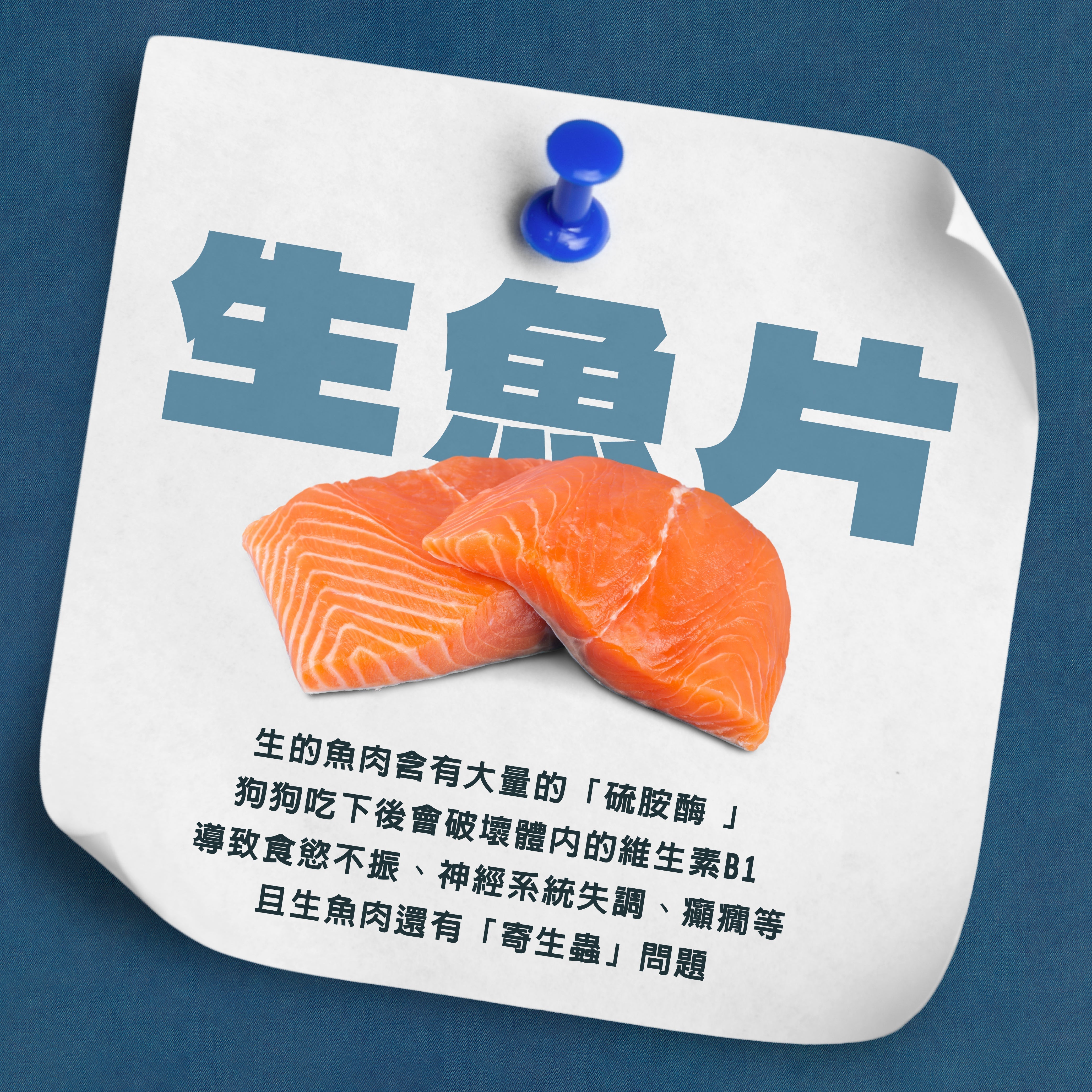 ⚠️ 生魚片＝狗狗的健康危機！你知道嗎？ ⚠️
