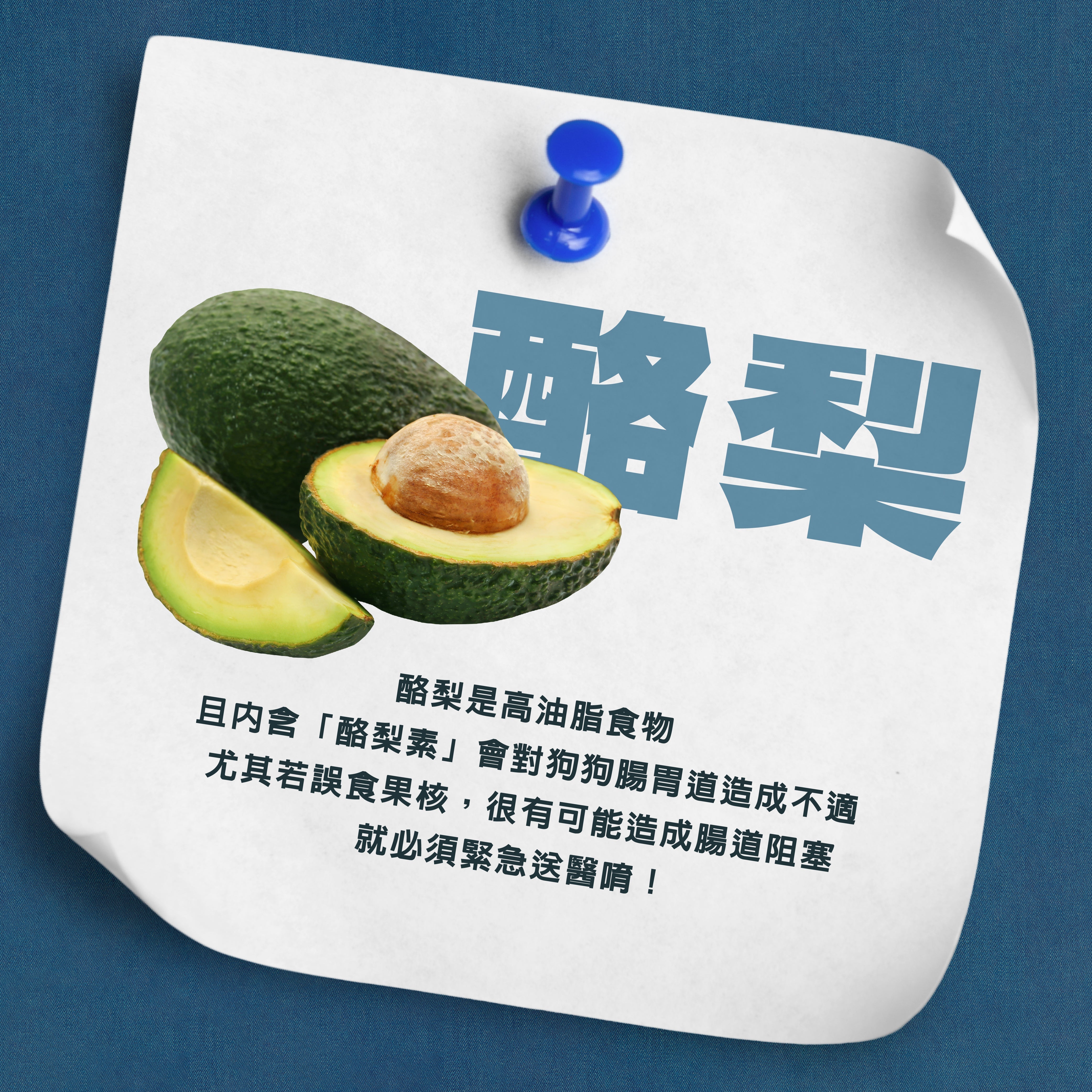 🥑 酪梨對毛孩是毒藥？小心誤食危機！ 🚨