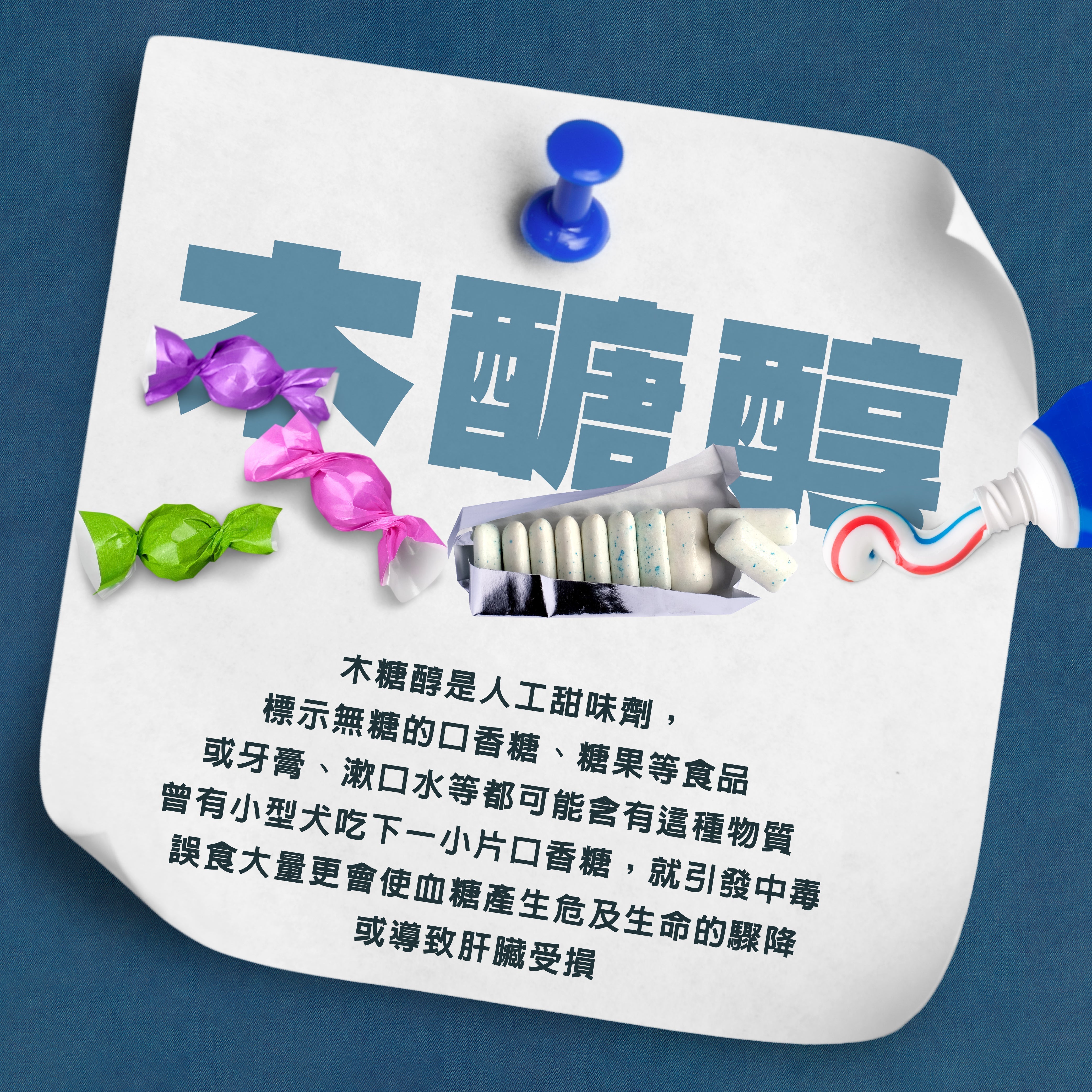 🚨 毛孩家長必看！小心「木糖醇」致命危機！ 🚨