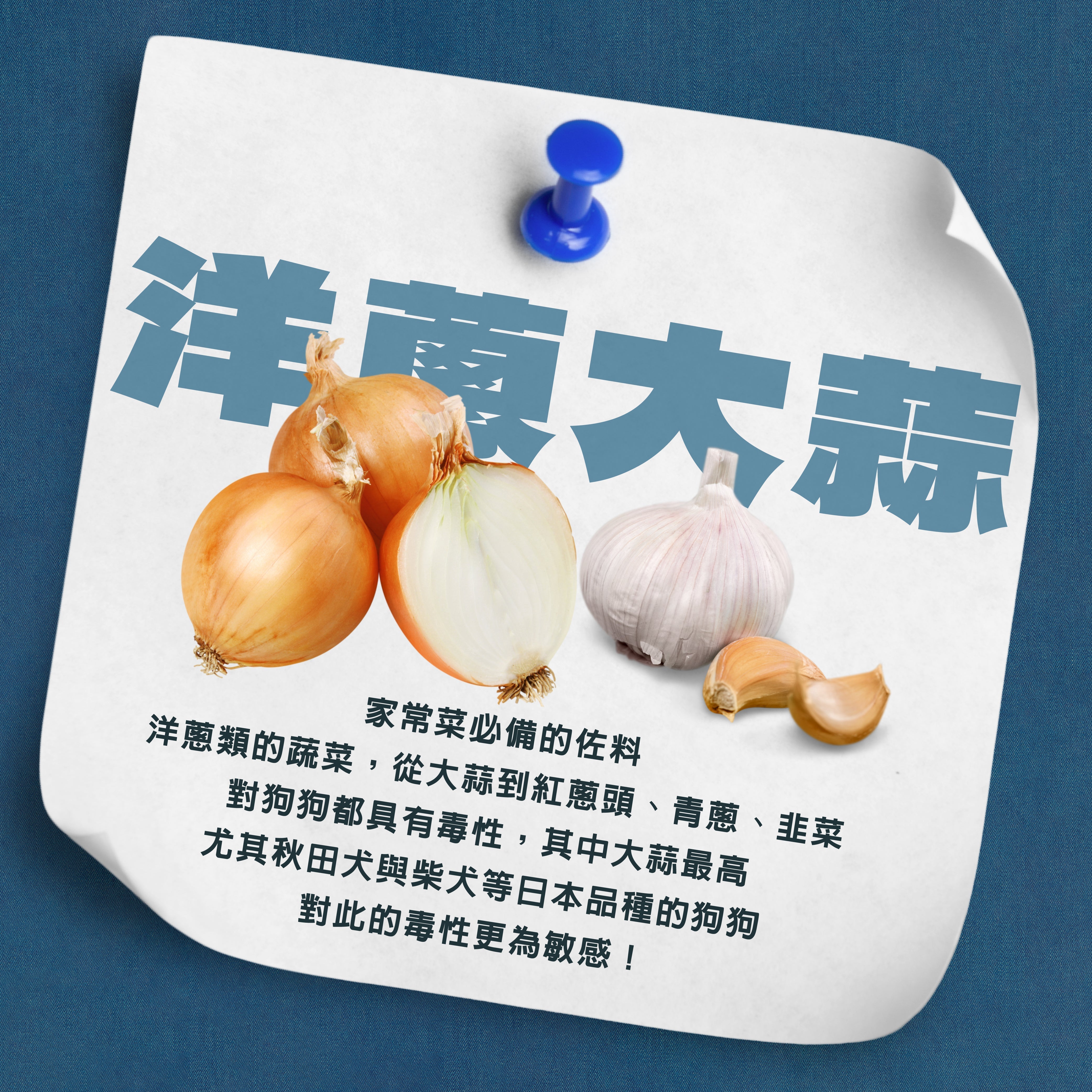 ⚠️ 洋蔥大蒜＝狗狗的劇毒！毛孩家長必看！ ⚠️