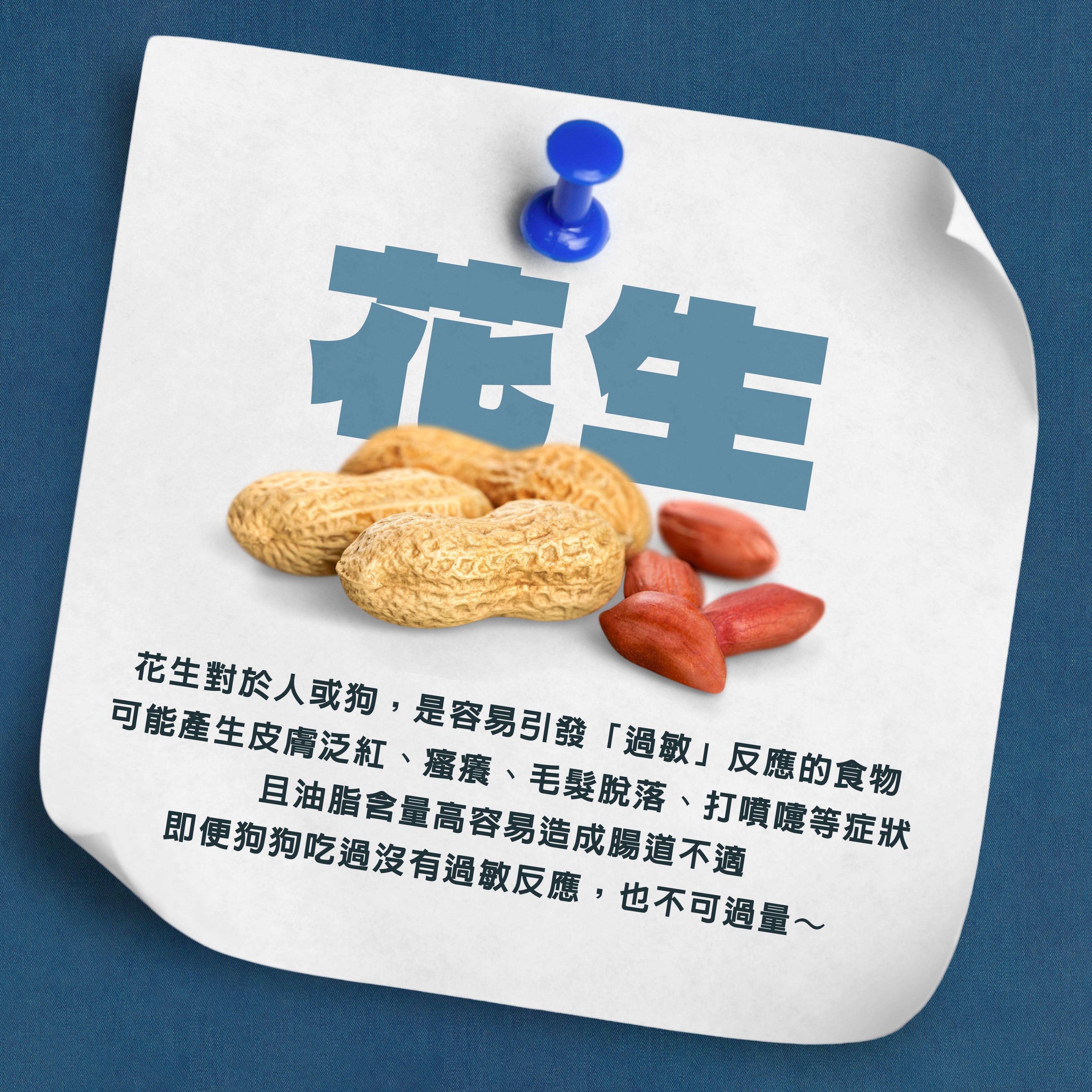🚨 花生也會害狗狗？小心過敏與腸胃不適！ 🚨