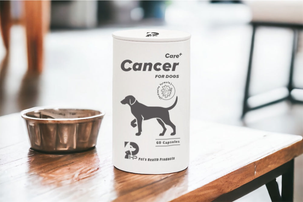 【PHP】Dog joint health care + dog cancer health care + dog gastrointestinal health care - three-in-one discount gift box