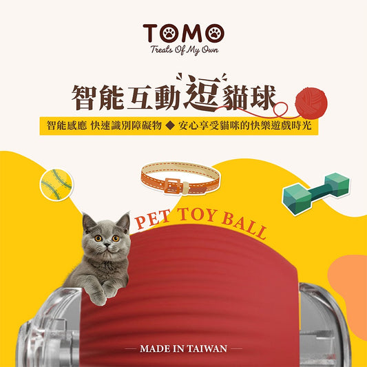 【TOMO】智能互動逗貓球｜電動滾動貓咪玩具