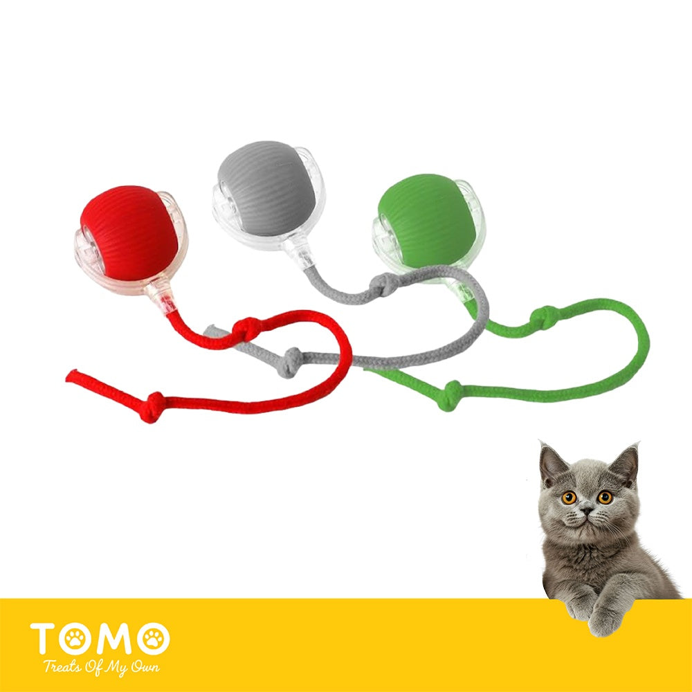 【TOMO】智能互動逗貓球｜電動滾動貓咪玩具